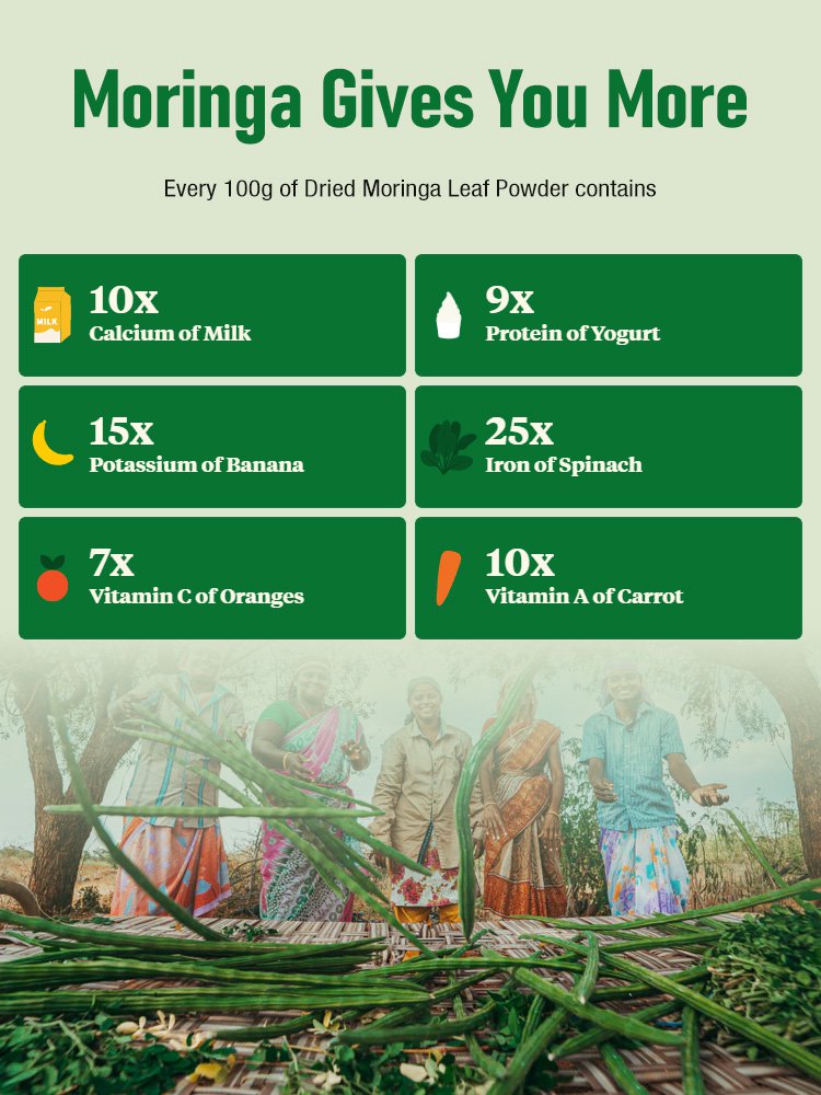 Moringa leaf powder