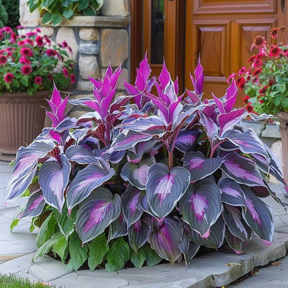 🌿Rare Hosta Seeds for Lush Shade Gardens💖🔥1 Pack-100 Seeds🔥Buy 3 Get 1 FREE!