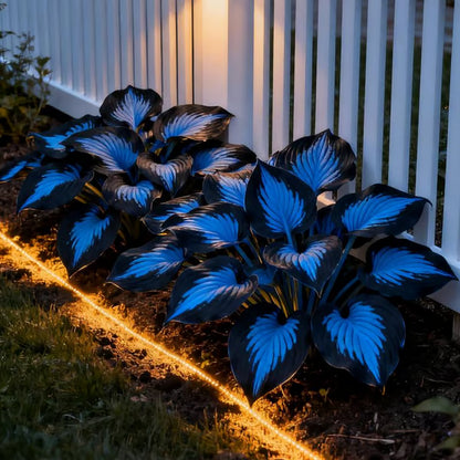 🌿Rare Hosta Seeds for Lush Shade Gardens💖🔥1 Pack-100 Seeds🔥Buy 3 Get 1 FREE!