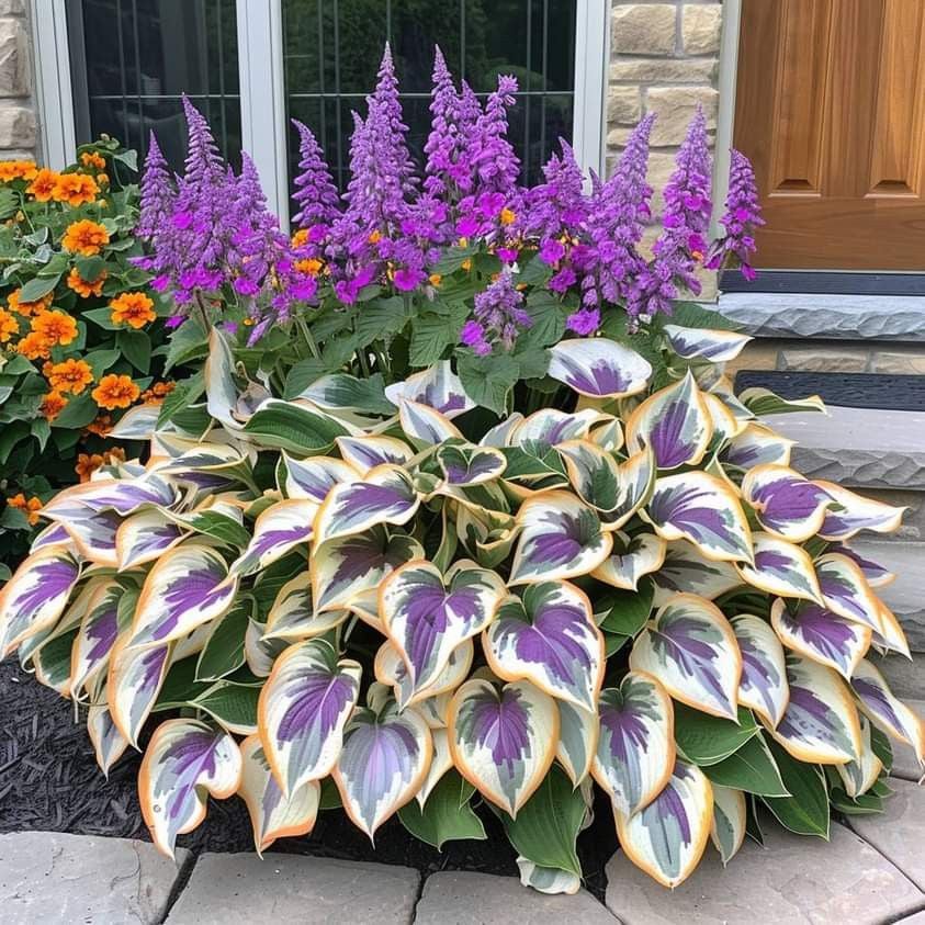 🌿Rare Hosta Seeds for Lush Shade Gardens💖🔥1 Pack-100 Seeds🔥Buy 3 Get 1 FREE!